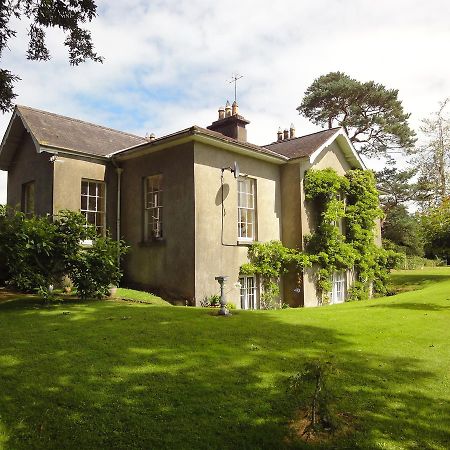 Glendine House Kilkenny Bed & Breakfast Bagian luar foto